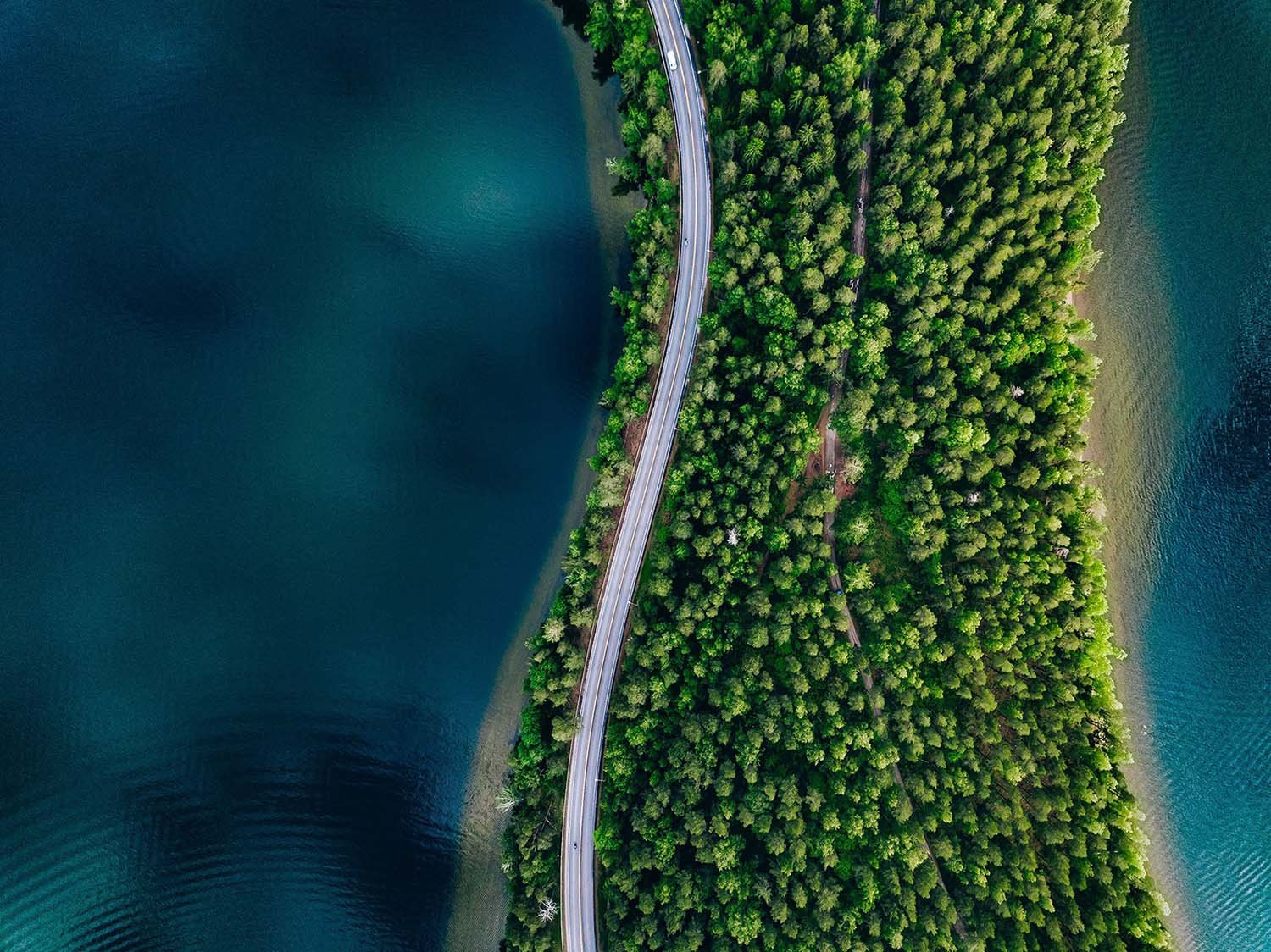 forest-03-2